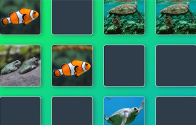 Memory game - image