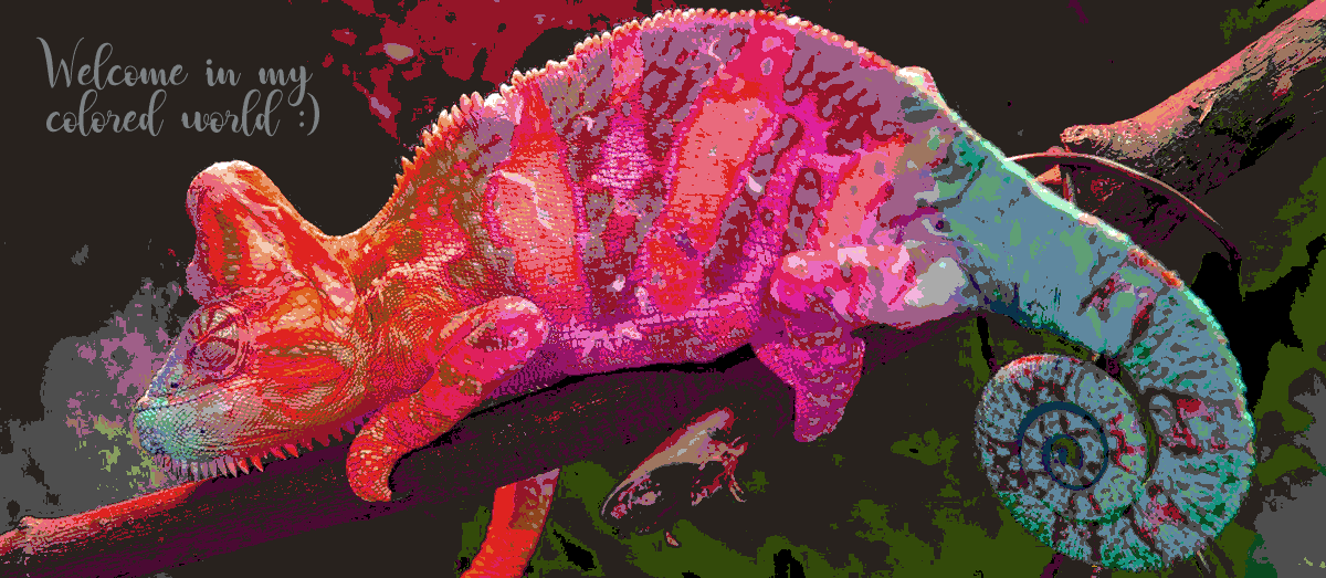 Image chameleon